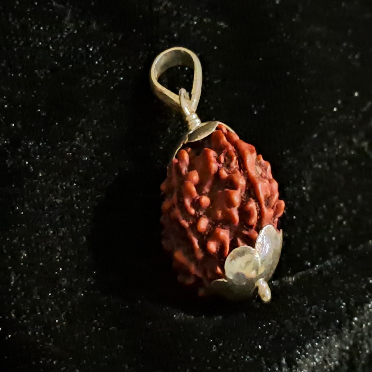 Rudraksha Pendent