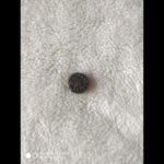 Antique Coin