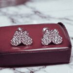 Silver Fancy Studs
