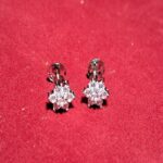 Elegant Silver Studs