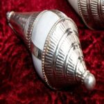 Conch with Silver Cap