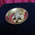 Tortoise with plate